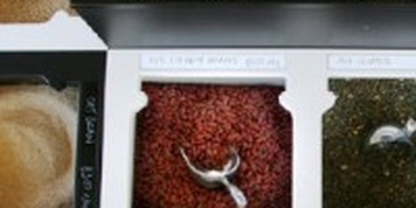 В США откроется первый магазин «без упаковки»