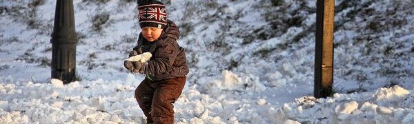 Экстремально теплым оказался февраль-2020 в Приморье