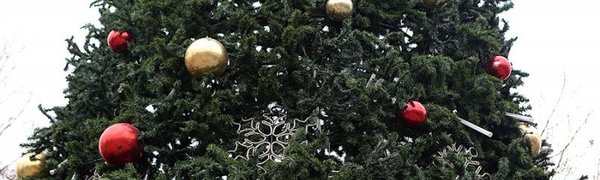 Во Владивостоке завершился монтаж первой из девяти новогодних ёлок