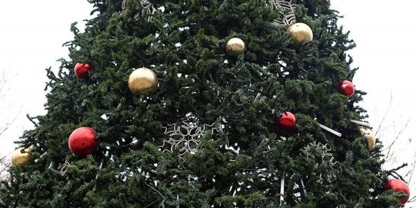 Во Владивостоке завершился монтаж первой из девяти новогодних ёлок