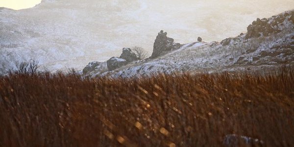 В Приморье ночные морозы окрепли до −25 °C