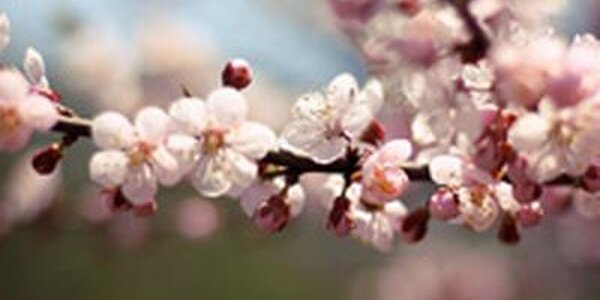 Погода на майские праздники в Приморье. Самый подробный прогноз на Примпогоде