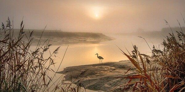 Водность рек в Приморье остается повышенной