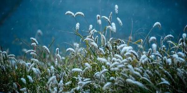 Контрастная погода была в Приморье в последние выходные апреля