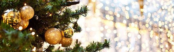 Во Владивостоке начали устанавливать новогодние ёлки