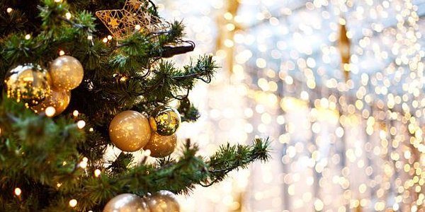 Во Владивостоке начали устанавливать новогодние ёлки