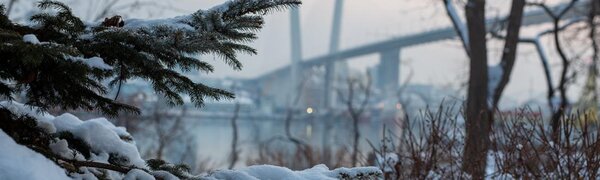 Cнег, мокрый снег и дождь, гололед и гололедица: всё о циклоне в Приморье 22 ноября (ФОТО)