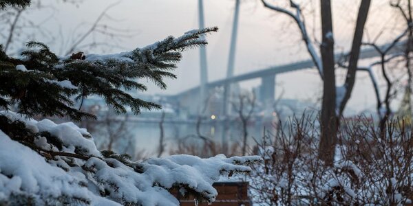 Cнег, мокрый снег и дождь, гололед и гололедица: всё о циклоне в Приморье 22 ноября (ФОТО)