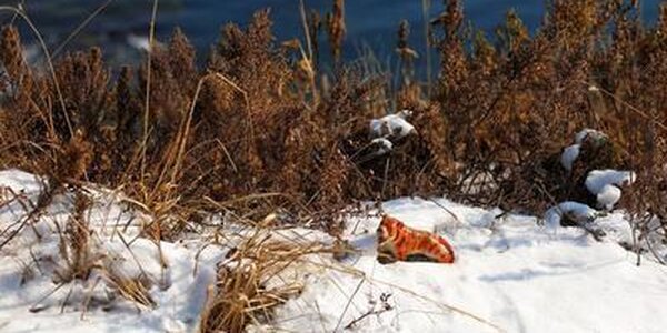 Погода в Приморье в четверг: ветер немного ослабеет, температура начнет расти