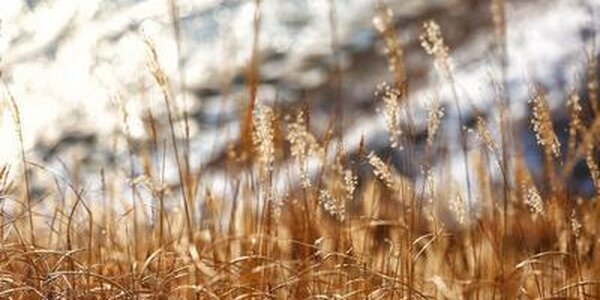 Тепло снова постепенно возвращается в Приморье