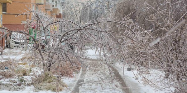 Дождь, снег, сильный ветер, гололёдные явления: Приморье во власти активного циклона