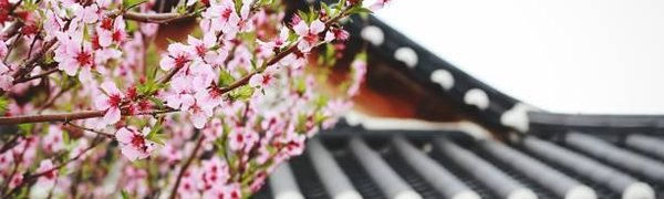 Новый рейс из Владивостока в Южную Корею откроется в начале апреля