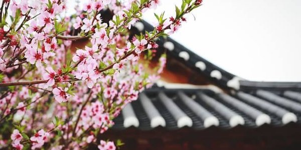 Новый рейс из Владивостока в Южную Корею откроется в начале апреля