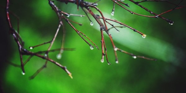 Тайфун «Гони» движется на Приморье