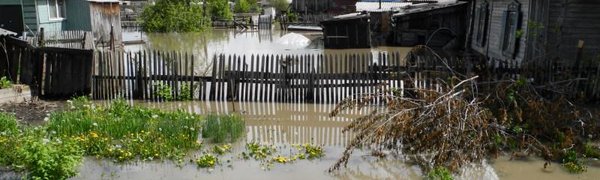 Режим ЧС ввели в Лазовском районе Приморья