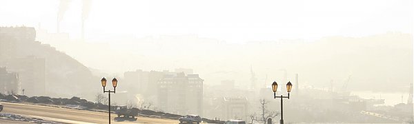 Чем дышал Владивосток с 11 по 20 февраля?