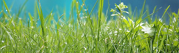 Потепления жителям Приморья придется ждать до выходных