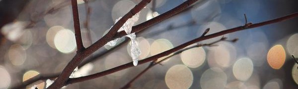 Во вторник в Приморье пройдут осадки, затем начнётся похолодание