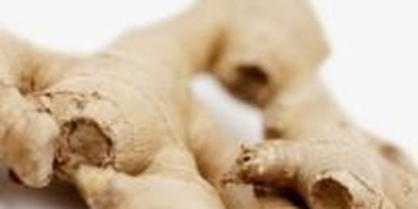 Имбирь, мед и перец защитят от простуды  