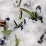 Весна еще не пришла: Мнение посетителей Примпогоды