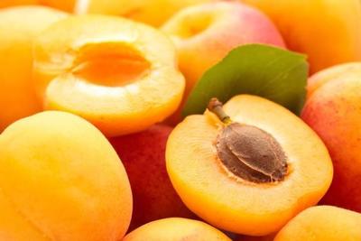 Россия приостановит ввоз яблок, слив, персиков из Китая