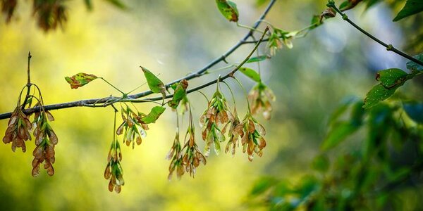 Первый осенний день в Приморье будет тёплым и солнечным