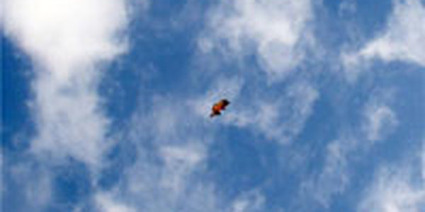 Циклон принесет в Приморье облачность