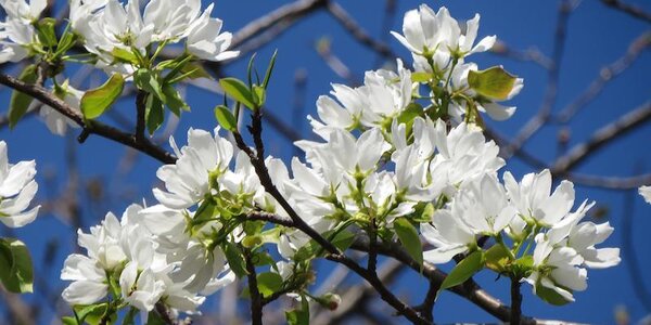Май завершится в Приморье солнечной погодой