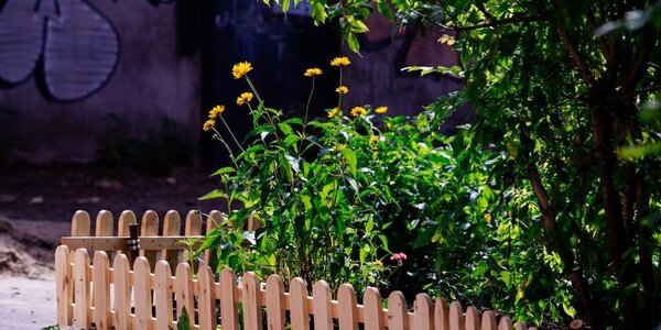 Жара в континентальных районах и прохлада на побережье: всё о погоде в Приморье в четверг