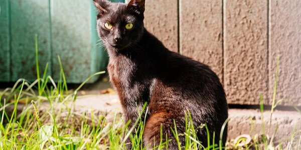 Теплая погода установилась в Приморье