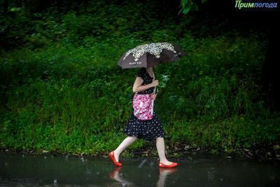Рабочая неделя началась в Приморье с кратковременных дождей с грозами