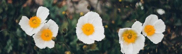 До конца недели на побережье Приморья будет облачно