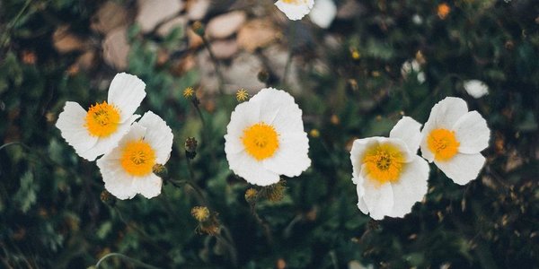 До конца недели на побережье Приморья будет облачно