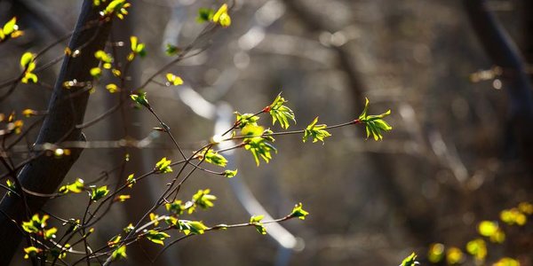 В пятницу в Приморье станет немного прохладнее, усилится ветер