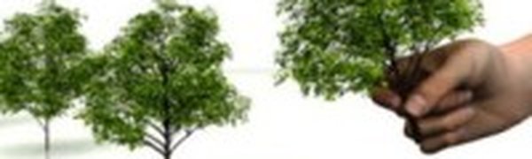 Жителей Владивостока приглашают поучаствовать в экологических мероприятиях 