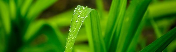 В Приморье снова идут дожди