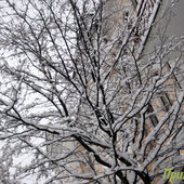Зима в Приморье приходит в ноябре
