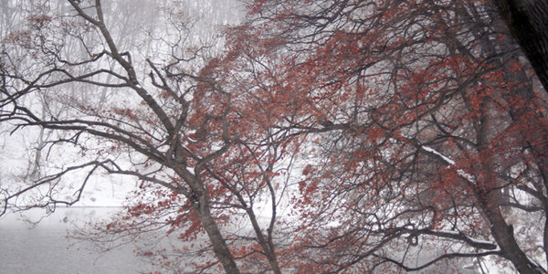 Декабрьская погода пришла раньше времени