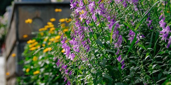 Синоптики озвучили прогноз погоды на первые выходные июля в Приморье