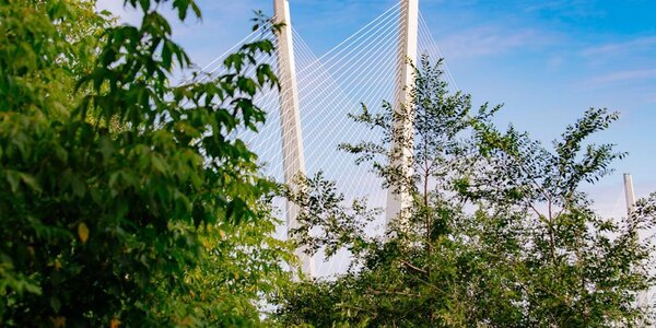 Синоптики уточнили прогноз погоды на первые выходные июля в Приморье и Владивостоке