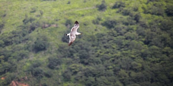 Неустойчивая погода ожидается в Приморье на следующей рабочей неделе