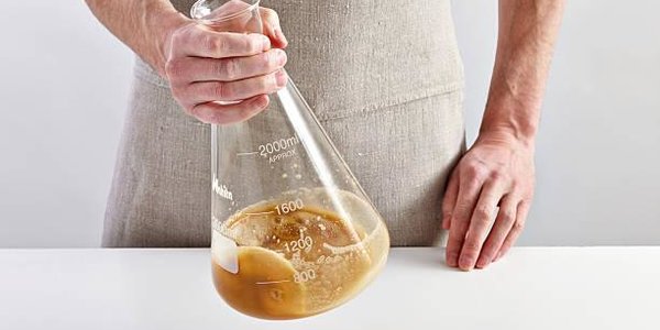 Китайские учёные будут бороться со смогом при помощи дрожжей