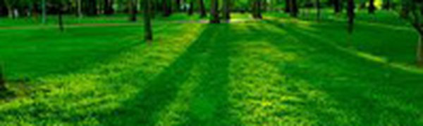 Во вторник человечество влезло в экологический «долг»