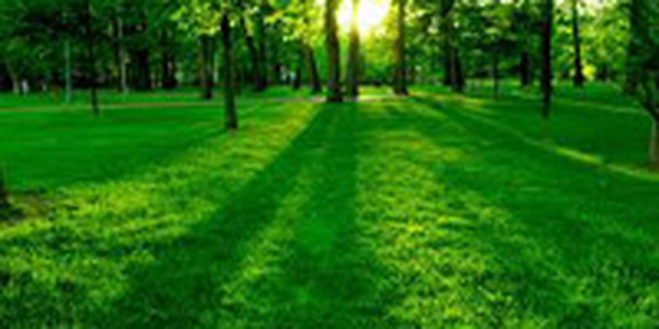 Во вторник человечество влезло в экологический «долг»