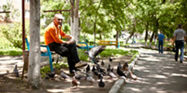 12 августа температура воздуха во Владивостоке превысила абсолютный максимум