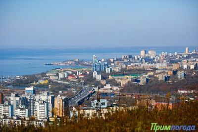 Чем дышал Владивосток с 21 по 31 октября?