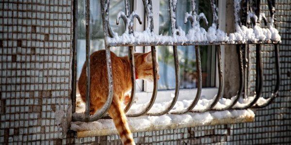Завтра в Приморье местами пройдет небольшой снег