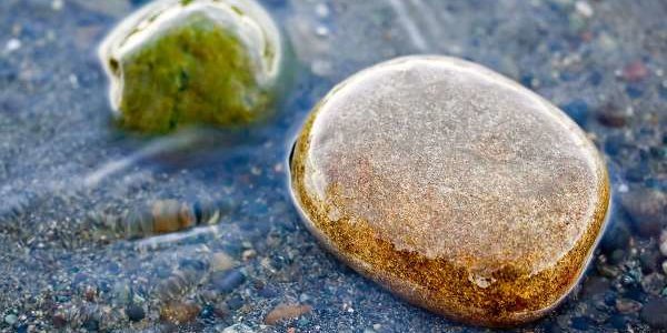 На реках края наблюдается подъем уровня воды