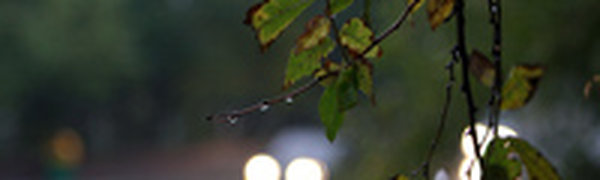 Южный циклон вечером выйдет в северо-западную часть Японского моря