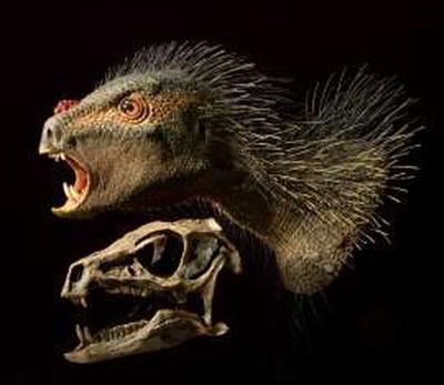 Останки саблезубого травоядного динозавра нашли в Южной Африке